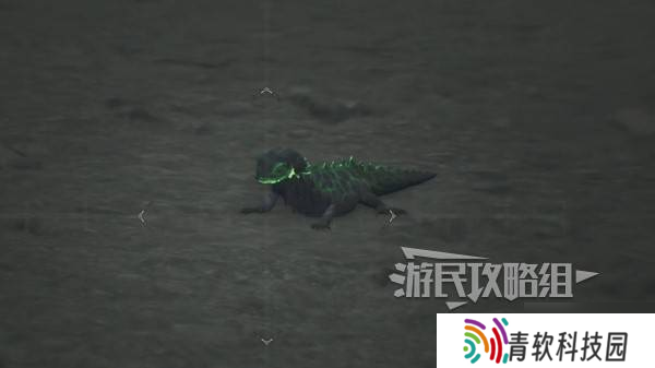 《怪物猎人荒野》火焰领蜥位置及捕获方法 火焰领蜥在哪抓