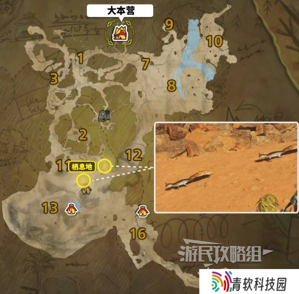 《怪物猎人荒野》足迹蜥蜴位置及捕获方法 足迹蜥蜴在哪抓