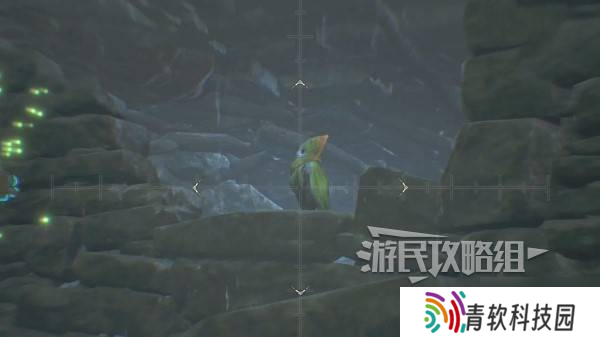 《怪物猎人荒野》端丽翼鸟位置及捕获方法 端丽翼鸟在哪抓