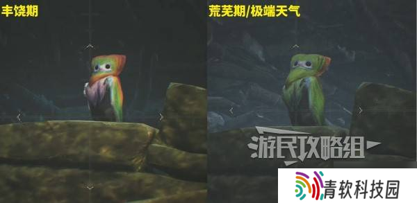 《怪物猎人荒野》端丽翼鸟位置及捕获方法 端丽翼鸟在哪抓