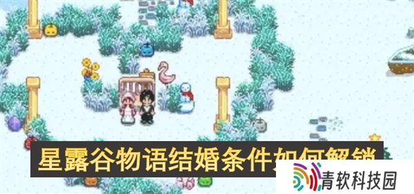 星露谷物语结婚条件如何解锁