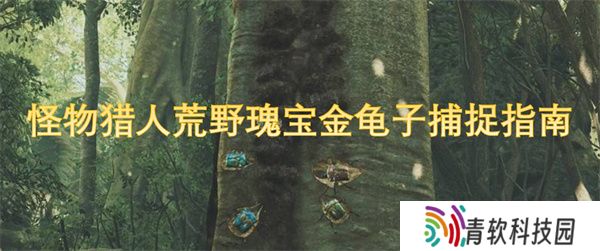 怪物猎人荒野瑰宝金龟子捕捉指南