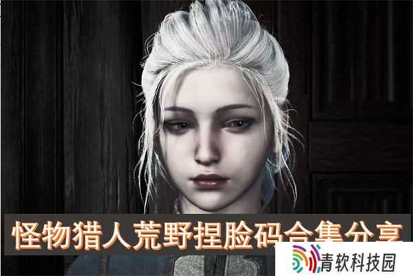 怪物猎人荒野捏脸码合集分享