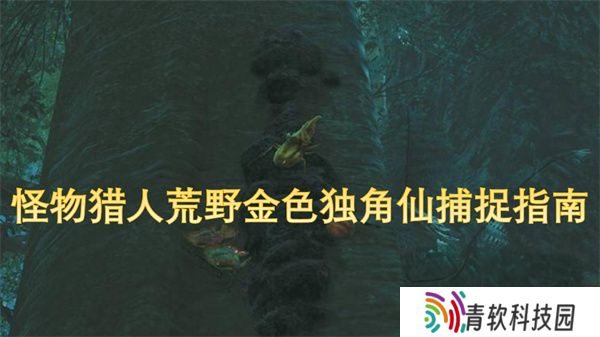怪物猎人荒野金色独角仙捕捉指南