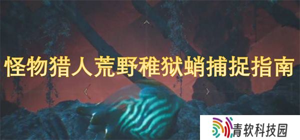怪物猎人荒野稚狱蛸捕捉指南