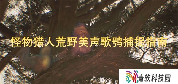怪物猎人荒野美声歌鸮捕捉指南