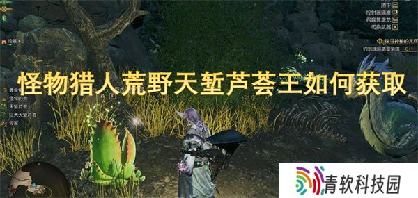 怪物猎人荒野天堑芦荟王如何获取