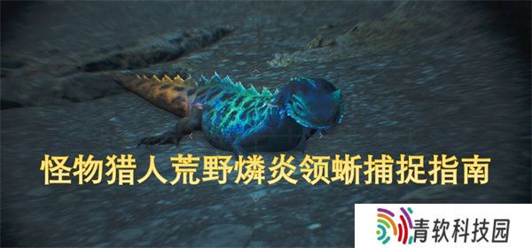 怪物猎人荒野燐炎领蜥捕捉指南