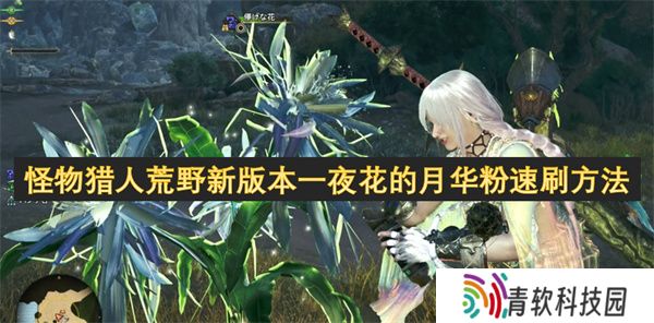 怪物猎人荒野新版本一夜花的月华粉速刷方法
