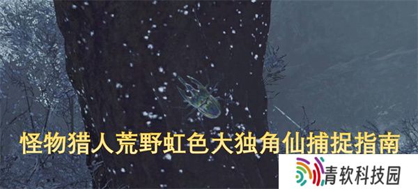 怪物猎人荒野虹色大独角仙捕捉指南