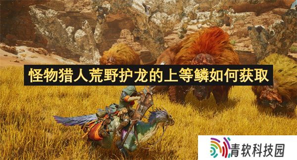 怪物猎人荒野护龙的上等鳞如何获取