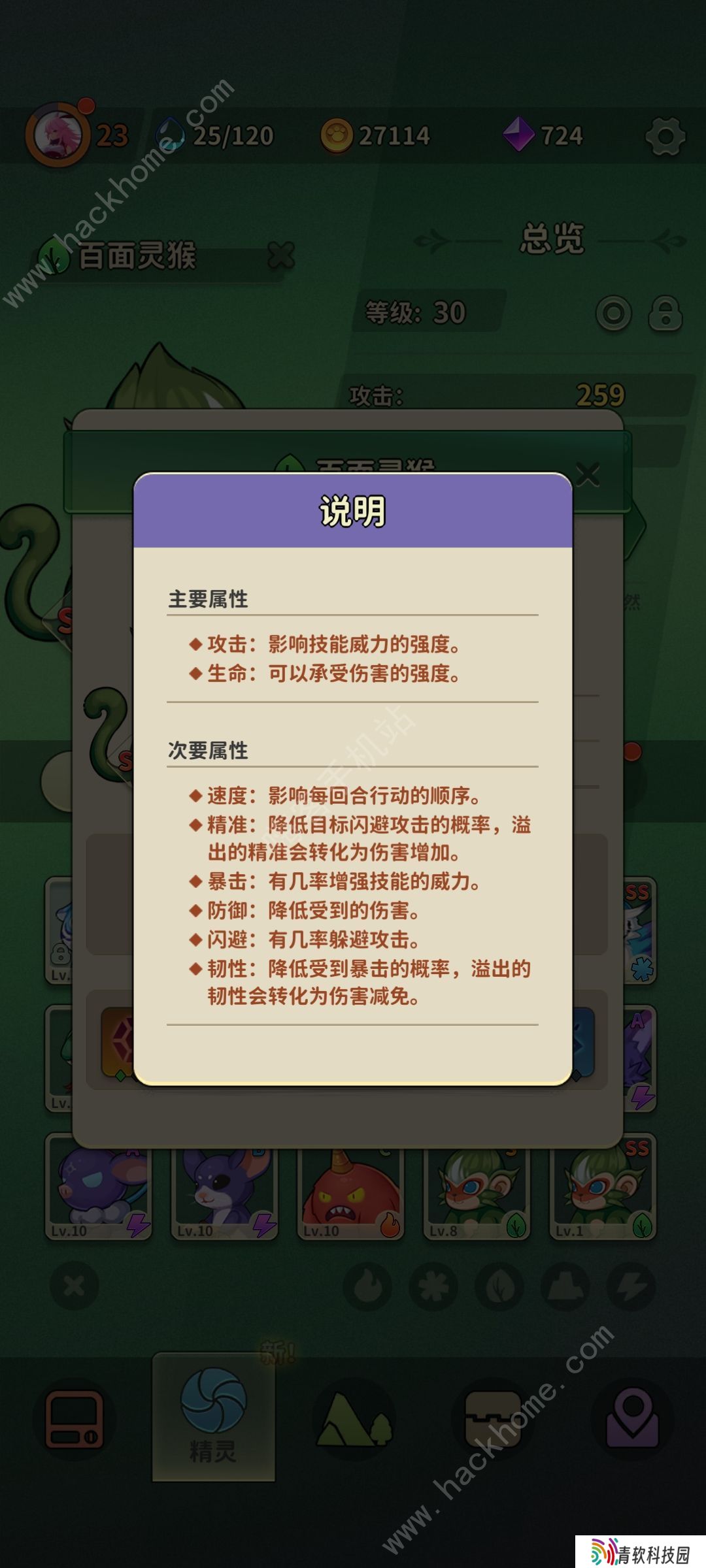 冒险与精灵攻略大全 新手少走弯路技巧总汇