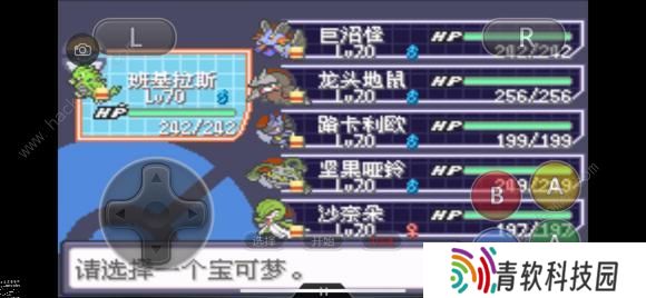 口袋妖怪究极绿宝石5.3攻略大全 究极绿宝石5.3全周目通关/金手指/作弊码总汇图片3