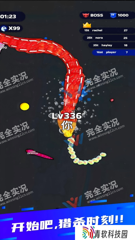 蛇王之战