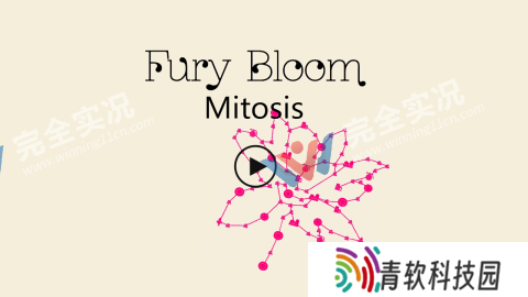 怒放:有丝分裂