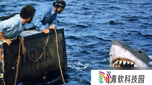 大白鲨 查尔斯·萨奇和他的收藏帝国作者简介「领cf白鲨搜藏名片的活动」