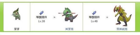 牙牙进化等级探索宠物宝可梦惊人蜕变的秘密级别