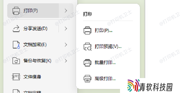 调整软件打印设置