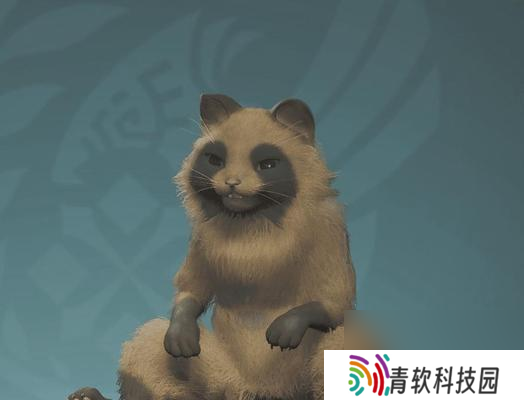 《怪物猎人荒野》古杯蟹在哪里？位置分享是什么？