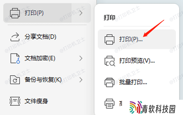 从Excel菜单中进入打印预览