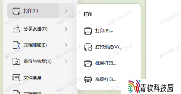 预览打印文件