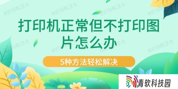 打印机正常但不打印图片怎么办