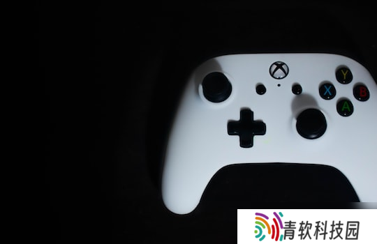 宫斗玩不起攻略游戏 宫斗玩不起攻略游戏的小说
