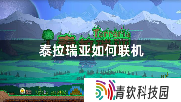 泰拉瑞亚如何联机？好友联机的具体详细方法的攻略