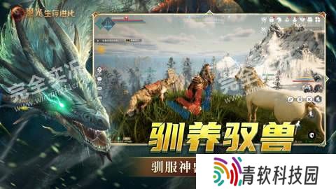 黑光生存进化