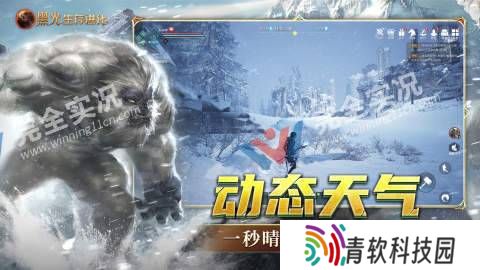 黑光生存进化