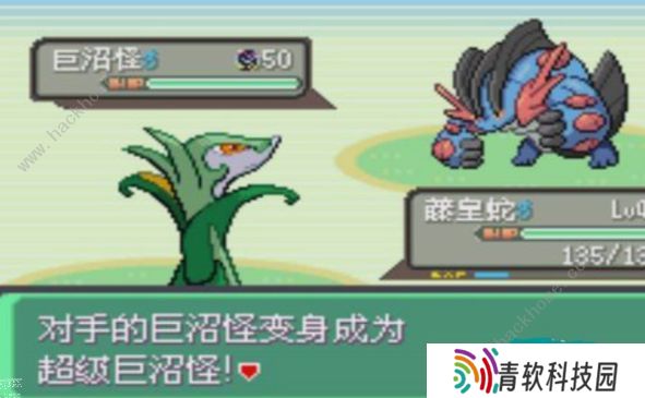 口袋妖怪究极绿宝石5.4攻略大全 5.4版本全周目通关总汇图片3
