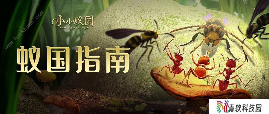 小小蚁国攻略大全 新手少走弯路技巧总汇图片1