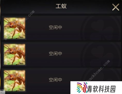小小蚁国攻略大全 新手少走弯路技巧总汇图片2