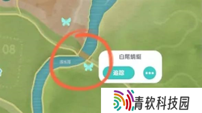 心动小镇手游白尾蜻蜓刷新位置怎么找 心动小镇手游白尾蜻蜓刷新位置合集