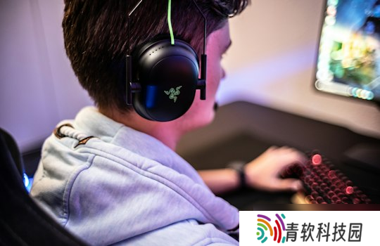 英雄联盟仙灵女巫ad出装 仙灵女巫中单出装s11