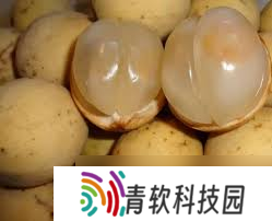 诱人水果大盘点 那些名字带“果”的美味究竟藏着怎样的甜蜜秘密