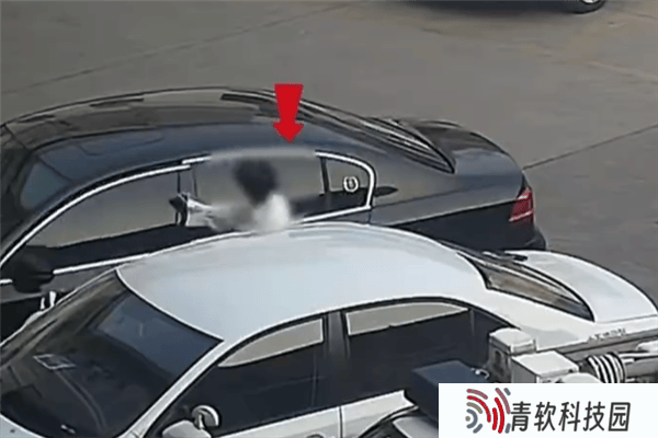 女子考驾照前无证驾车赴考，交警：安全不能儿戏！