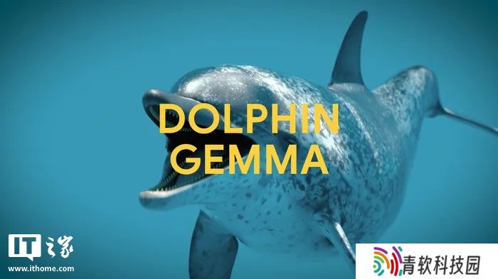 谷歌 DeepMind 开发 DolphinGemma AI 模型，助力海豚“语言”研究