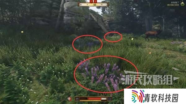 天国拯救2图文攻略大全   所有任务全流程攻略总汇图片29