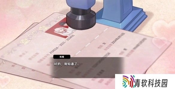 中国式相亲妮可的主线剧情介绍   妮可结局攻略图片5
