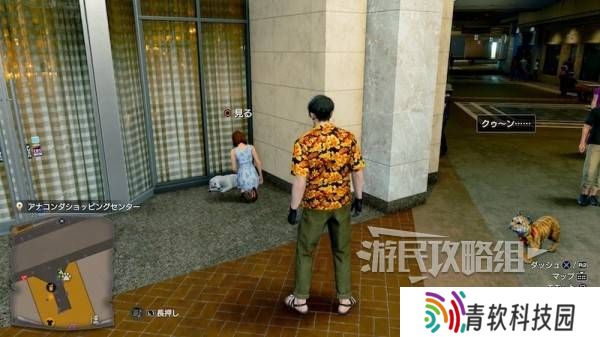 如龙8外传救护动物位置总汇   救护动物食材盘点图片19