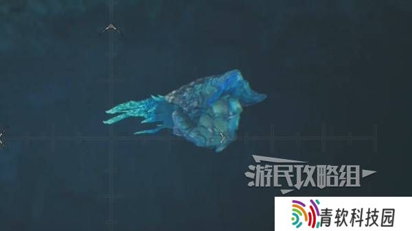 怪物猎人荒野瑰丽盾章菊螺在哪钓   瑰丽盾章菊螺用什么饵？图片3