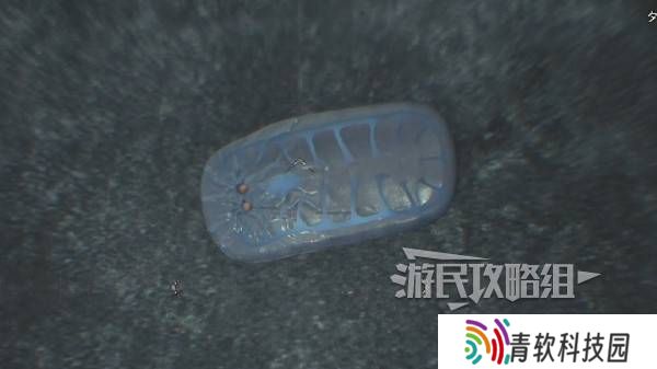 怪物猎人荒野大虚无动在哪捕获    大虚无动捕获攻略图片8