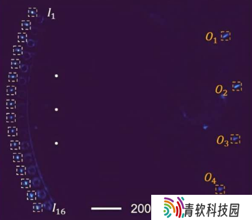 可编程芯片首次用光训练神经网络