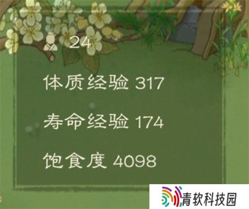 桃源记2怎么提升体质 体质提升方法