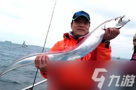 带鱼在水中不游动时通常保持什么姿势