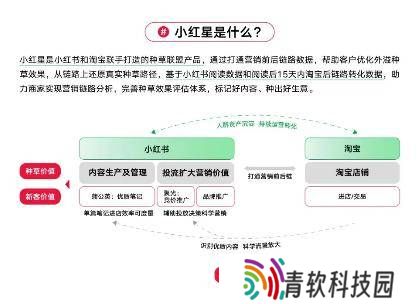 小红书电商开放外链，广告收益与电商闭环如何平衡？