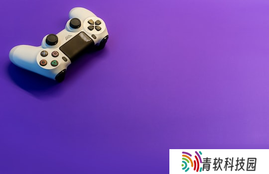 植物大战僵尸紫色屏障怎么用 植物大战僵尸紫色花