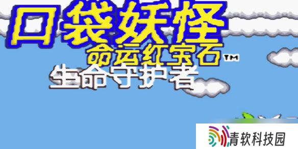 《口袋妖怪命运红宝石》金手指代码大全