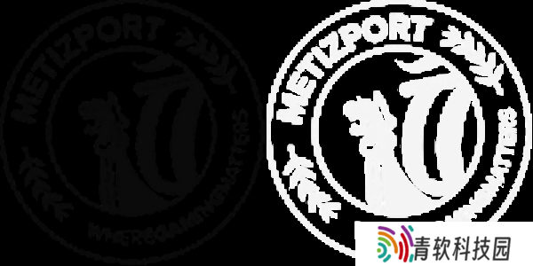 官宣：Metizport下放hampus